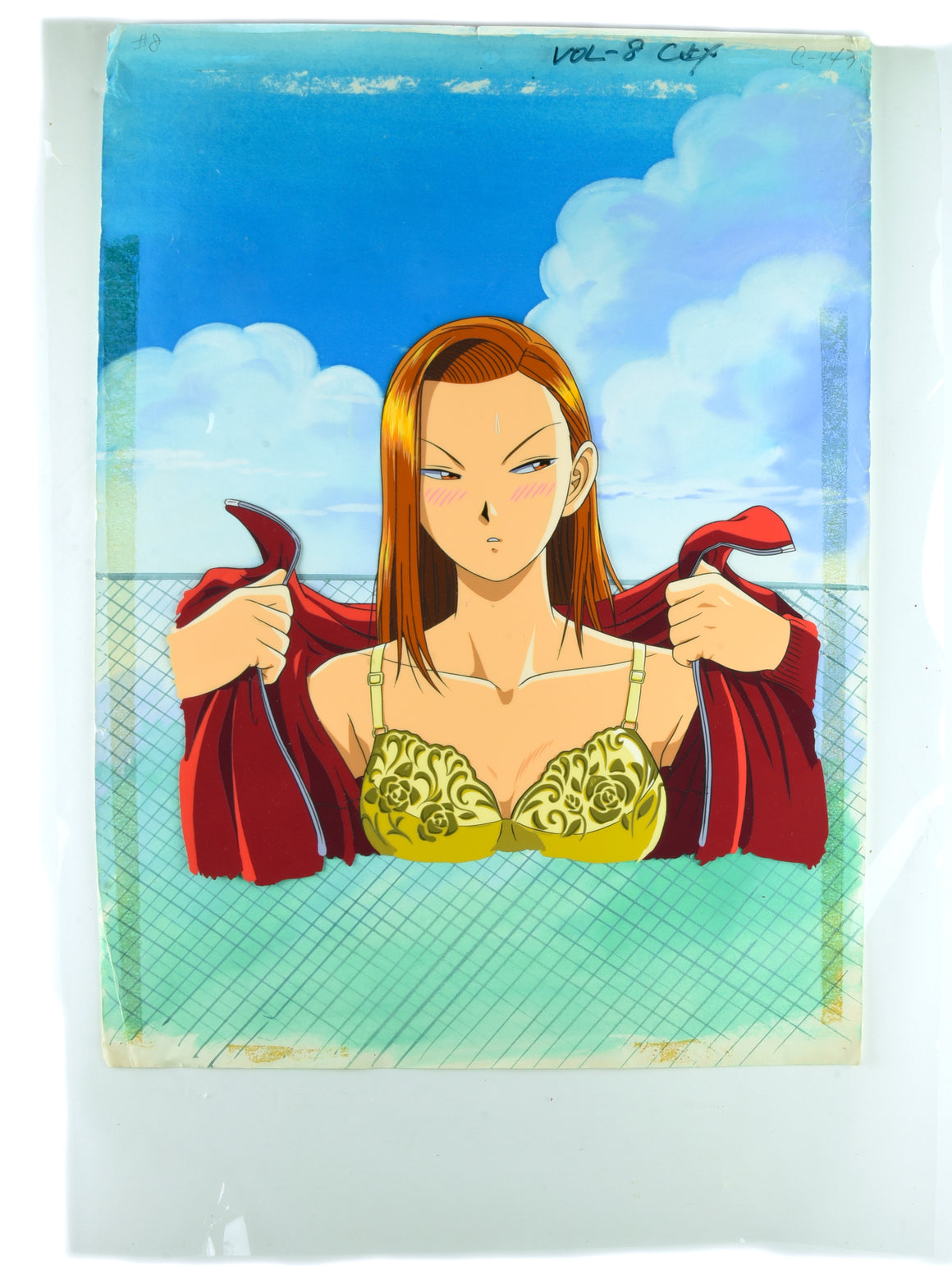 Ping Pong Club - Iwashita from VHS Vol. 8 Front Cover - Pan-size Hanken Cel