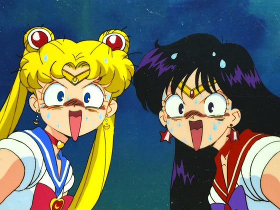 Sailor Moon News on X: Sailor Moon Lunch Box 💫