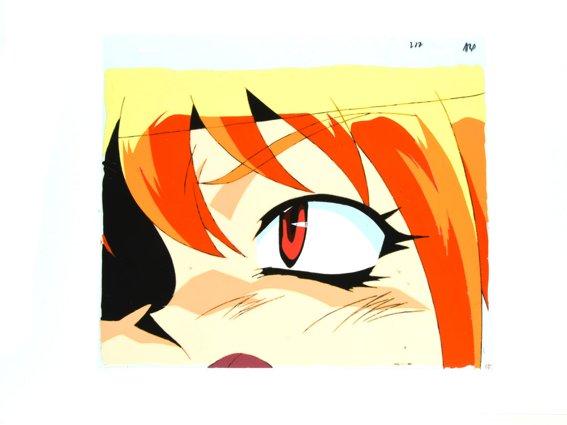 Slayers - Lina Inverse's eye close-up - Key Master Setup w/ Douga