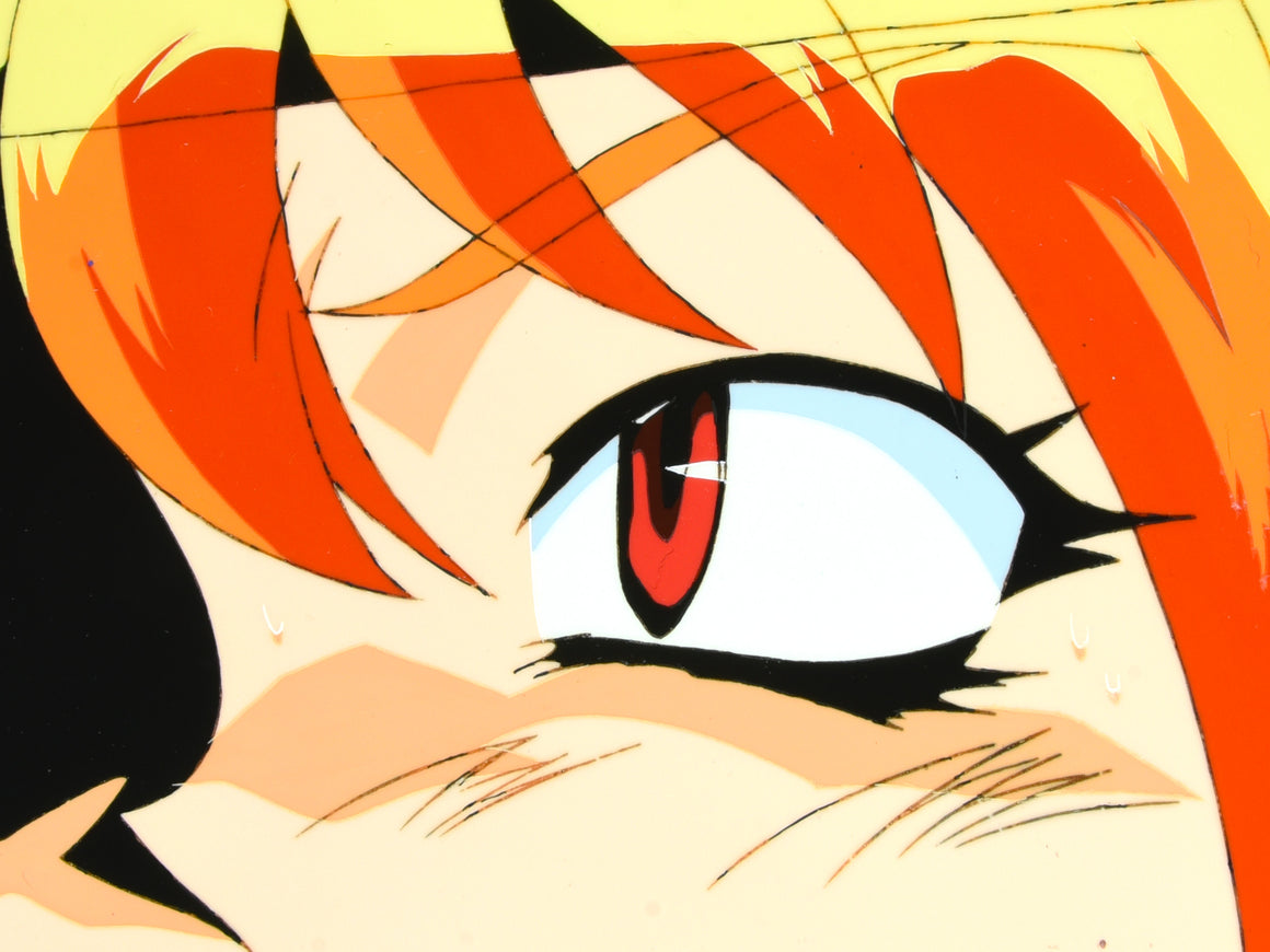 Slayers - Lina Inverse's eye close-up - Key Master Setup w/ Douga