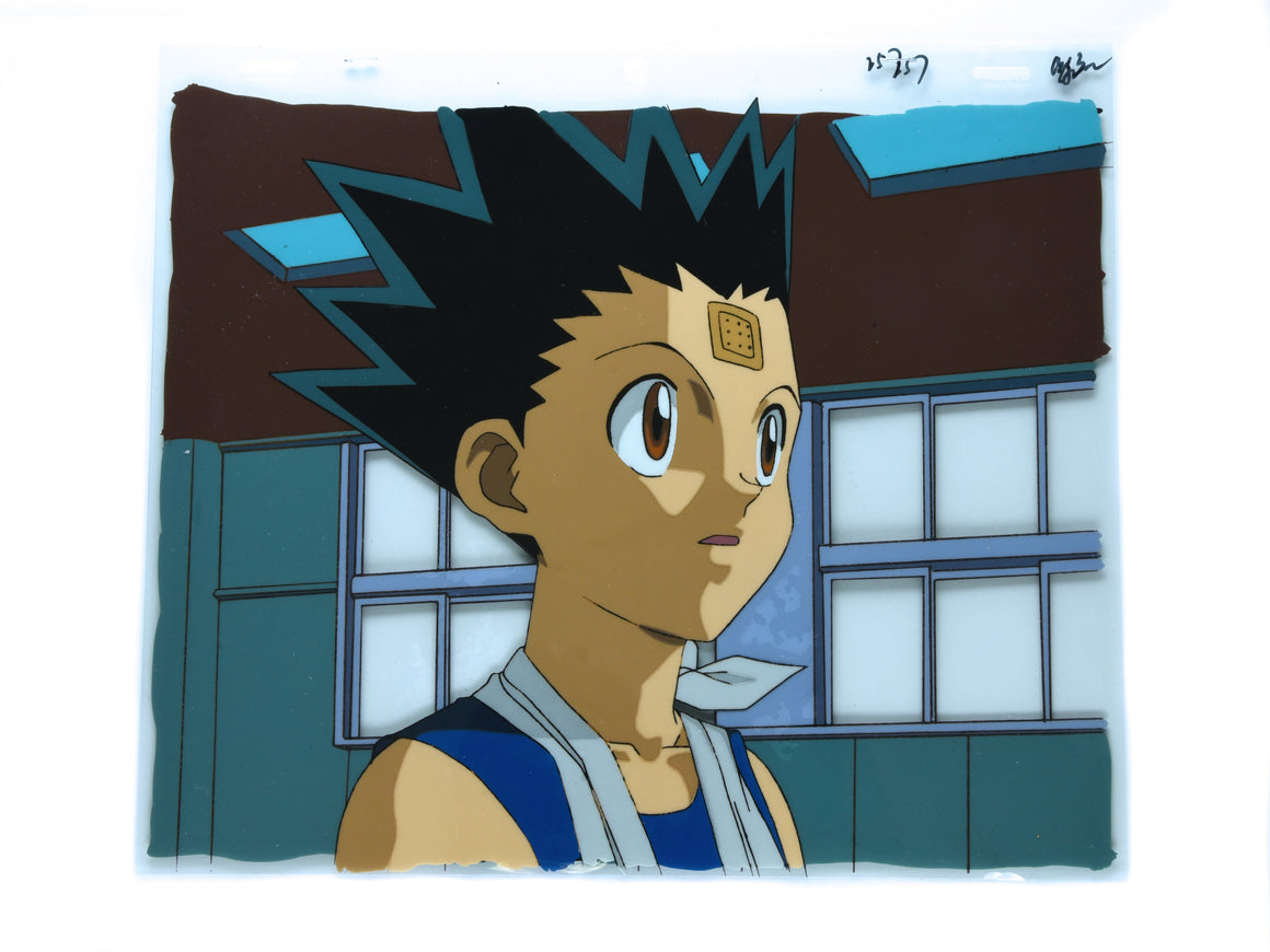 Hunter × Hunter - Gon after the Hunter Exam - 2-layer Production Cel w/ Matching Background